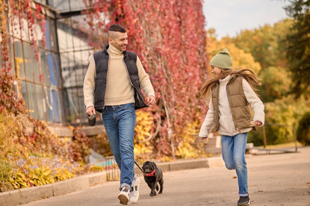 5-top-electronics-for-dog-lovers